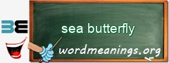 WordMeaning blackboard for sea butterfly